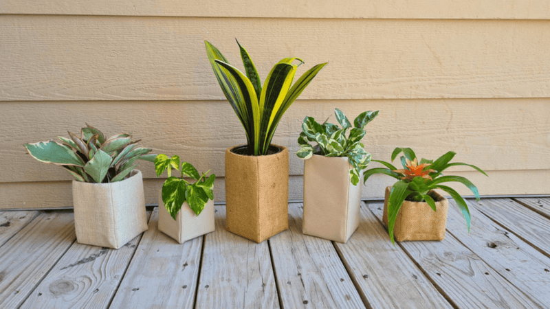 Sew Your Own Burlap Plant Holder