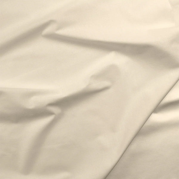 Oyster | Painter's Palette Solid | Quilting Cotton
