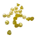 1/4" Iowa | Plastic Buttons