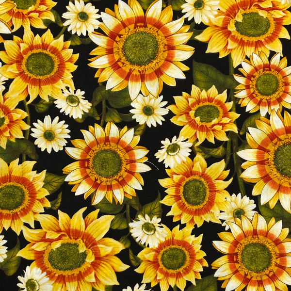 Sunflowers Black | Pumpkin Harvest | Quilting Cotton