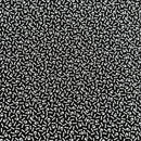 Bone Toss | Midnight Magic 2 | Quilting Cotton