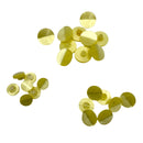 7/16", 1/2" or 3/4" Kansas | Plastic Buttons | Choose Your Size