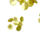 7/16", 1/2" or 3/4" Kansas | Plastic Buttons | Choose Your Size