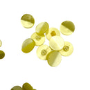 7/16", 1/2" or 3/4" Kansas | Plastic Buttons | Choose Your Size