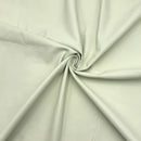 Lightest Sage  | Top Grain Leather