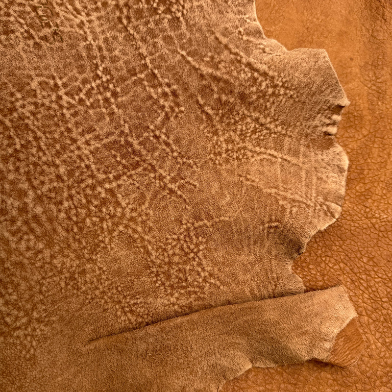 Maple  | Full Grain Leather