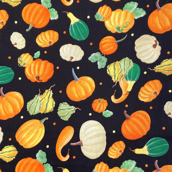 Pumpkins and Gourds Black | Falling for Gnomes | Quilting Cotton