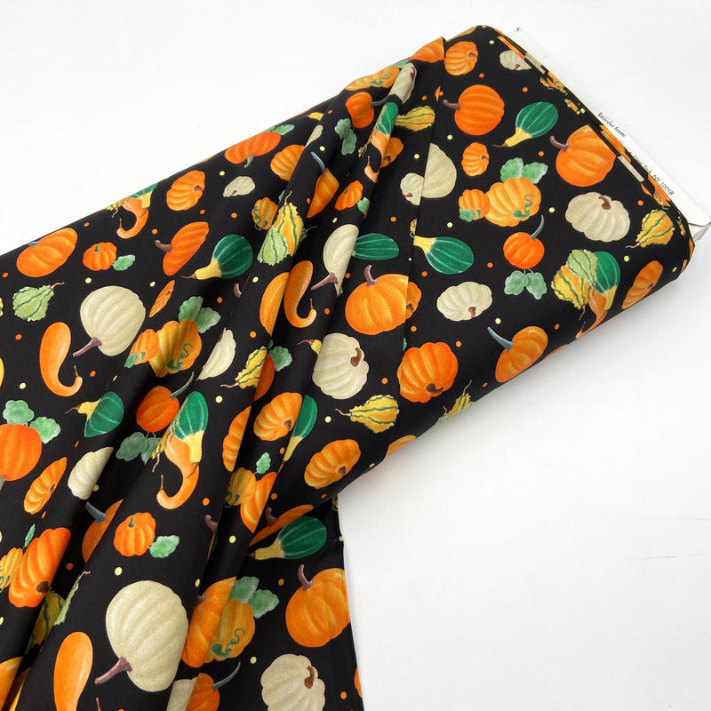 Pumpkins and Gourds Black | Falling for Gnomes | Quilting Cotton