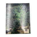 The Spirit of Christmas: Creative Holiday Ideas Book Seven | Book