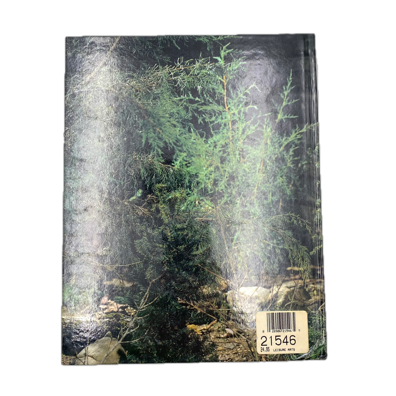 The Spirit of Christmas: Creative Holiday Ideas Book Seven | Book