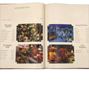 Decorating for Christmas | Book
