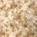 Ecru Pounce | Quilting Cotton