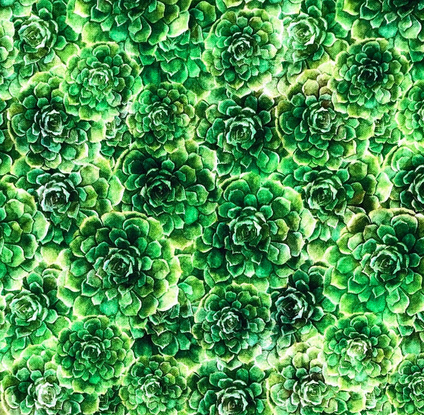 Succulents Green | QT Blossom | Quilting Cotton