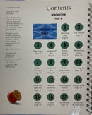 100 Keys to Great Fabric Painting | Vintage Book