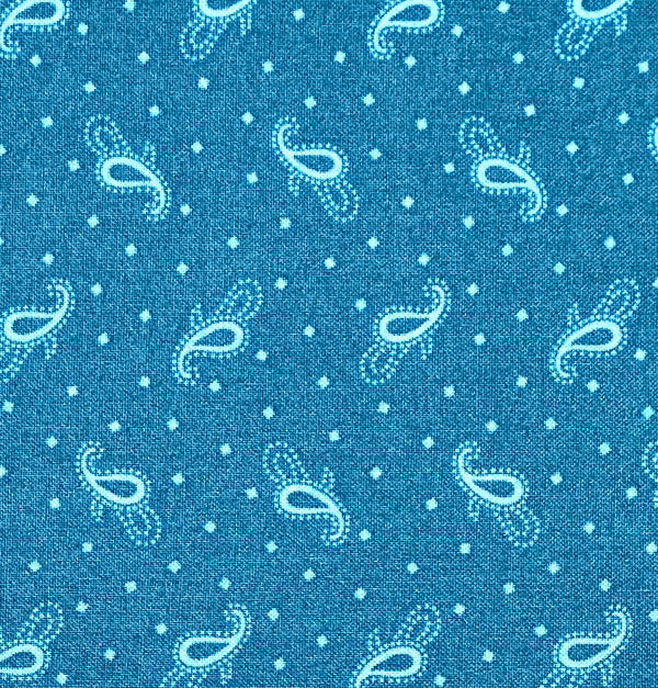 Light teal paisley and square polka dots on a dark teal background.