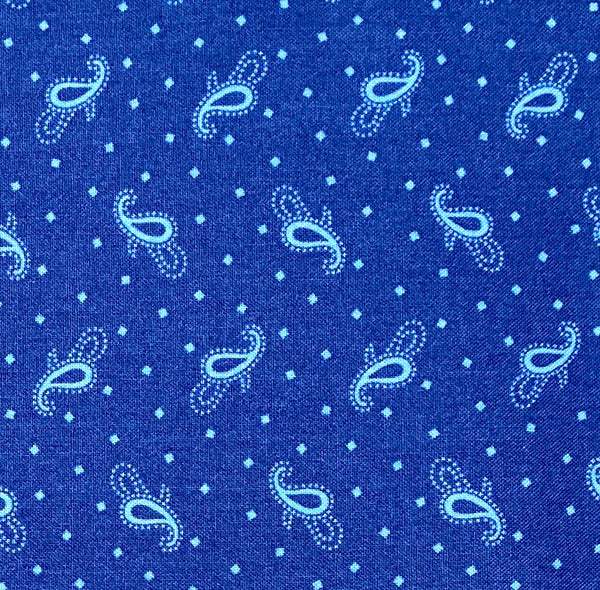 Light blue paisley and square polka dots on a dark blue background.