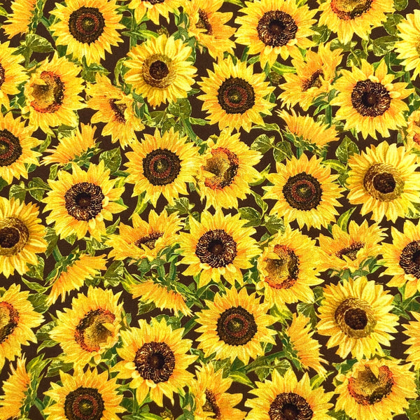 Sunflower Toss Brown | Fall Splendor | Quilting Cotton