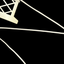 1/4" Ines | Velvet Ribbon