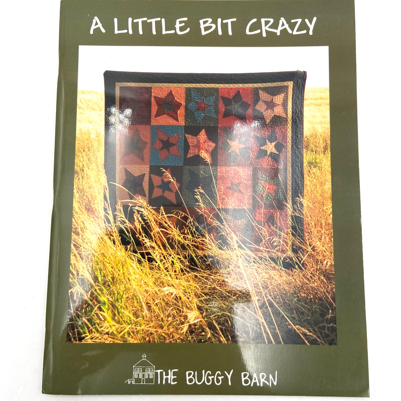 A Little Bit Crazy | Book