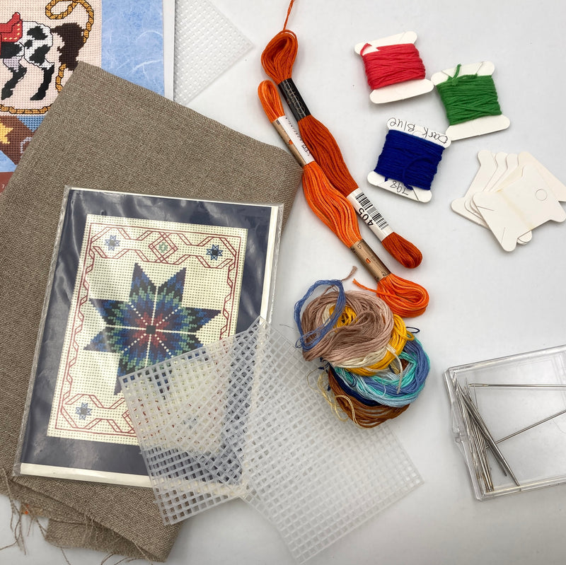 Rhinestone Cowboy Needlework | A Thrifty Challenge Box