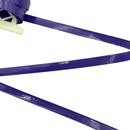 1" Andromeda | Belting Trim
