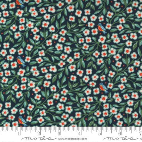 Sincere Dull Black | Frankie | Quilting Cotton