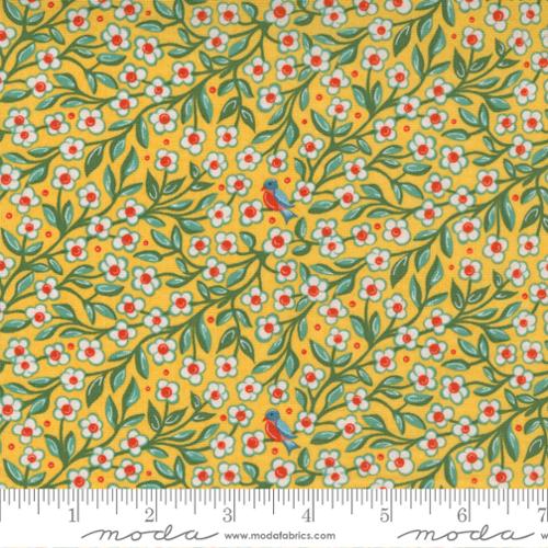 Sincere Goldie | Frankie | Quilting Cotton