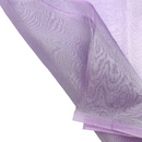Pegasus | Organza