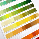 Kona Cotton Solids | 365 Color | Swatch Card