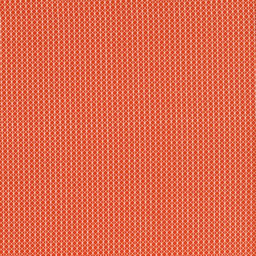 Netorious, Roadster | Cotton and Steel Basics | Quilting Cotton
